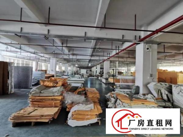  清溪三中靠凤岗原房东500平方起租