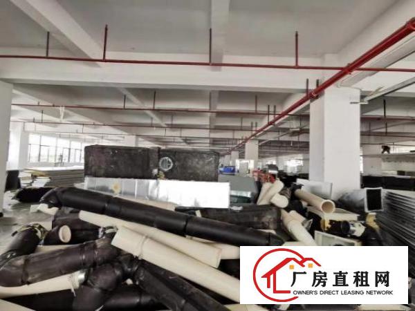  清溪三中靠凤岗原房东500平方起租