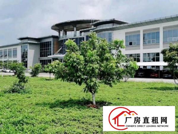  清溪三中靠凤岗原房东500平方起租