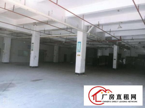  清溪五金加工钣金压铸标准一楼厂房出租1100平现成水电