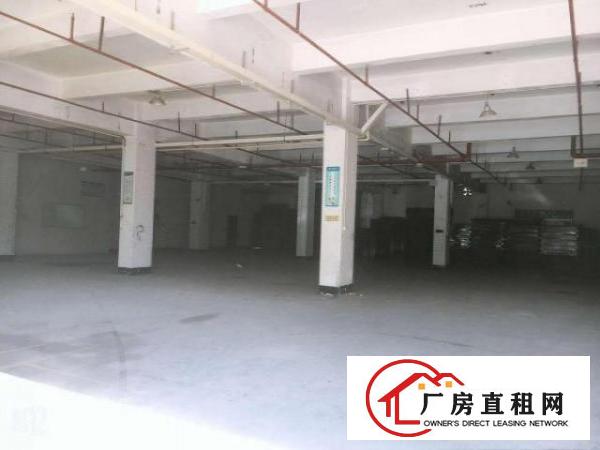  清溪五金加工钣金压铸标准一楼厂房出租1100平现成水电