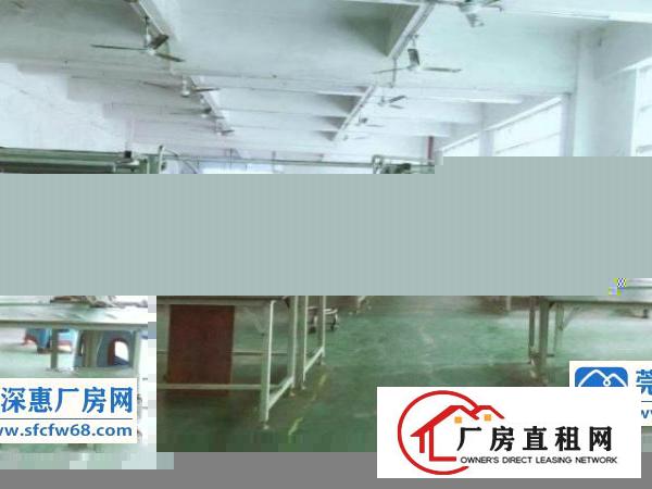  大埔空出一楼500平带装修厂房出租带大空地，实惠特价出租