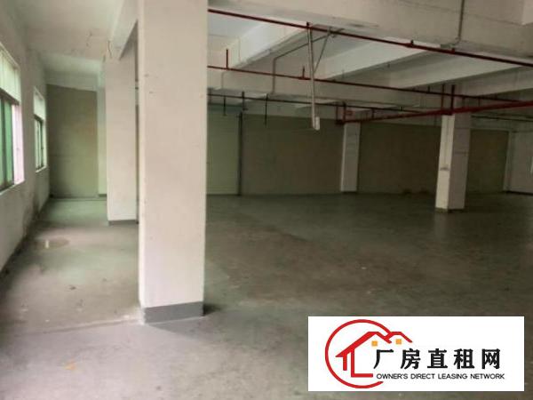  谢坑新空一楼标准厂房700平有装修厂房出租，有地坪漆