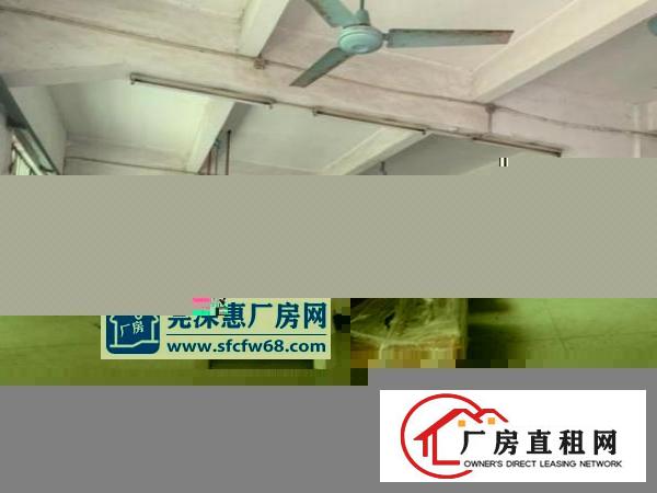  清厦新出楼上标准厂房1000平方装修分租，400平起租