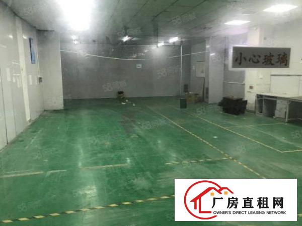  荔横村新出一楼350平二楼600平厂房出租可分租