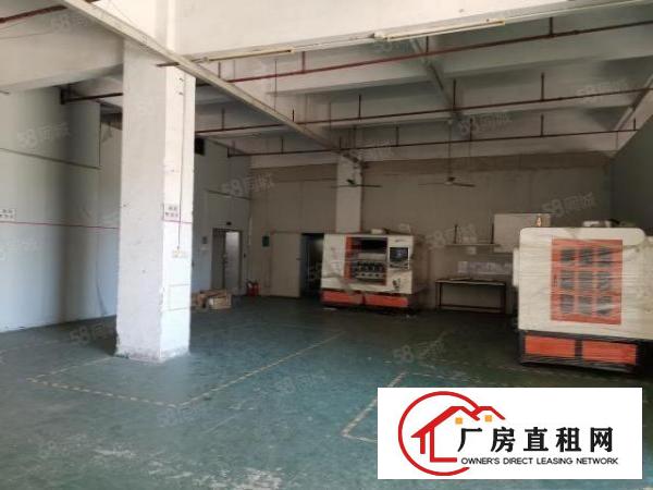  清溪土桥新出原房东花园式独院10500平带独立办公楼（可分）