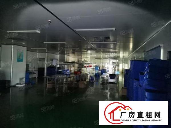  清溪土桥新出原房东花园式独院10500平带独立办公楼（可分）