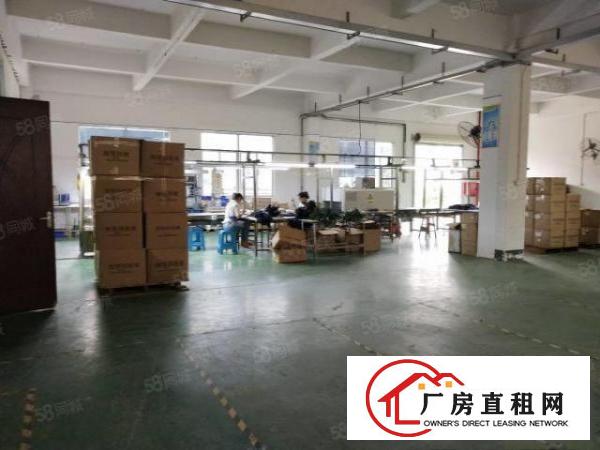  清溪镇原房东出租带豪华办公装修二楼1300平方，可做电地