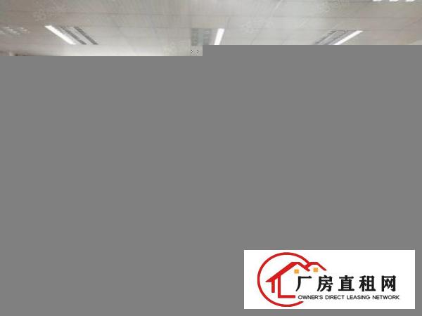  清溪镇原房东出租带豪华办公装修二楼1300平方，可做电地