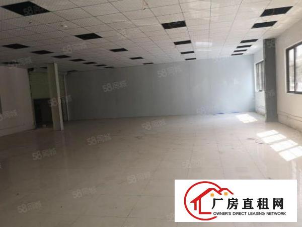  大利科技路旁单一层厂房精装修270平方低价出租先到先得