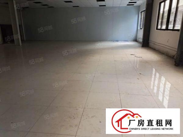  大利科技路旁单一层厂房精装修270平方低价出租先到先得