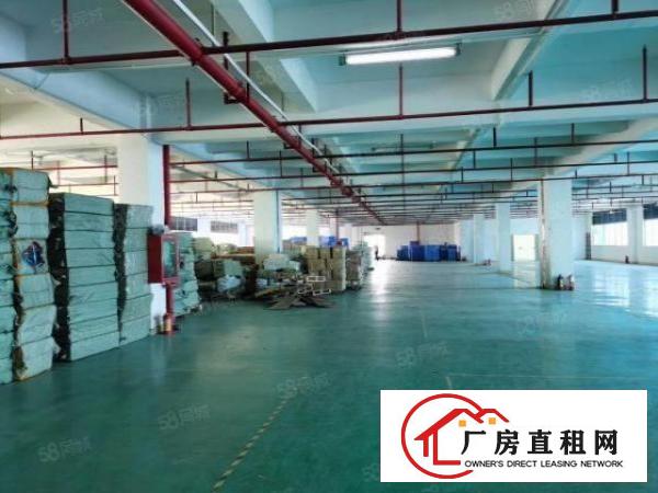  清溪银湖工业区原房东独院标准厂房出租总面积3万平方大小分租