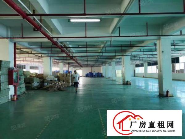  清溪银湖工业区原房东独院标准厂房出租总面积3万平方大小分租
