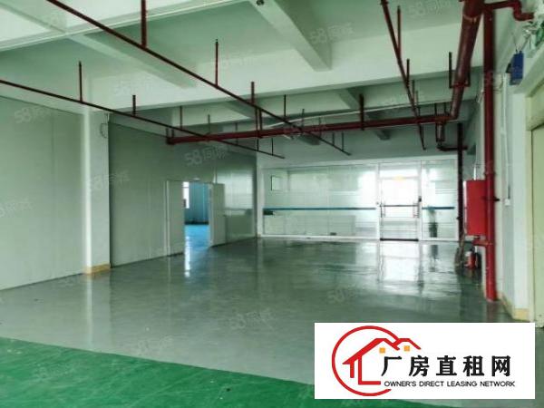  清溪银湖工业区原房东独院标准厂房出租总面积3万平方大小分租