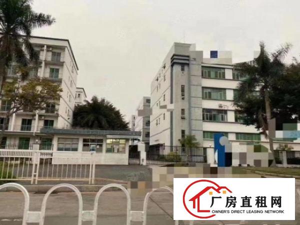  清溪银湖工业区原房东独院标准厂房出租总面积3万平方大小分租
