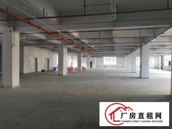  原房东楼上标准厂房2200方，高6米，带办公室消防喷淋