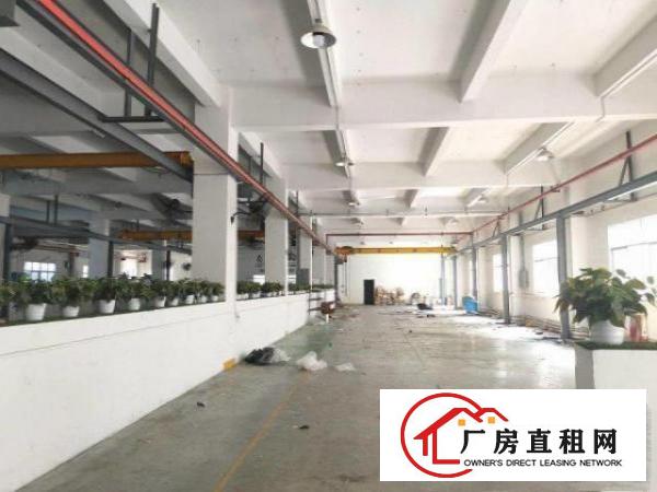  急租清溪工业区新空出一二楼3000方，带行车消防喷淋办公室