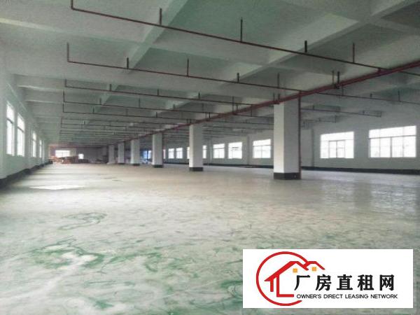  急租清溪工业区新空出一二楼3000方，带行车消防喷淋办公室