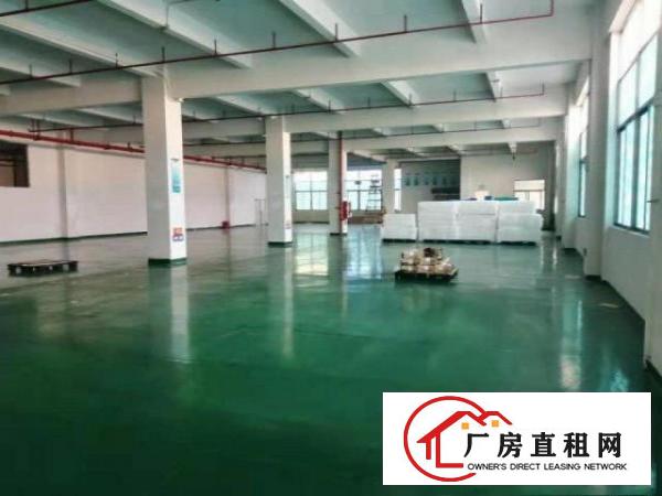 急租清溪工业区新空出一二楼3000方，带行车消防喷淋办公室