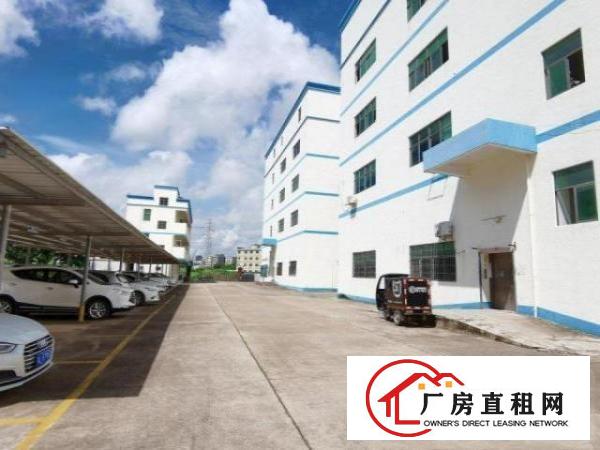 清溪工业园厂房一楼2000方带办公室消防喷淋，空地大形象好