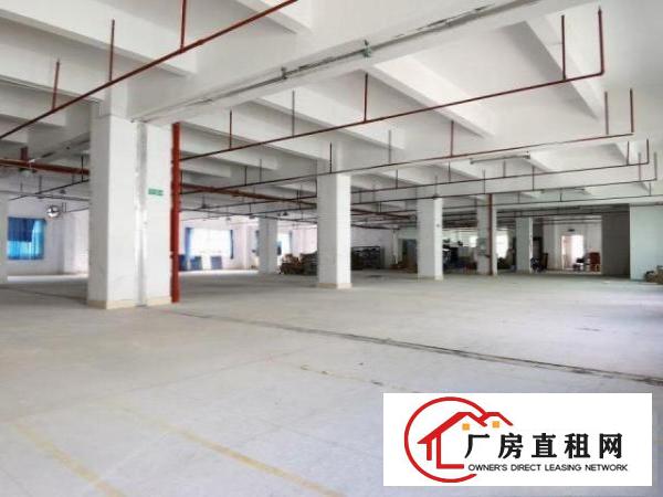  清溪工业园厂房一楼2000方带办公室消防喷淋，空地大形象好