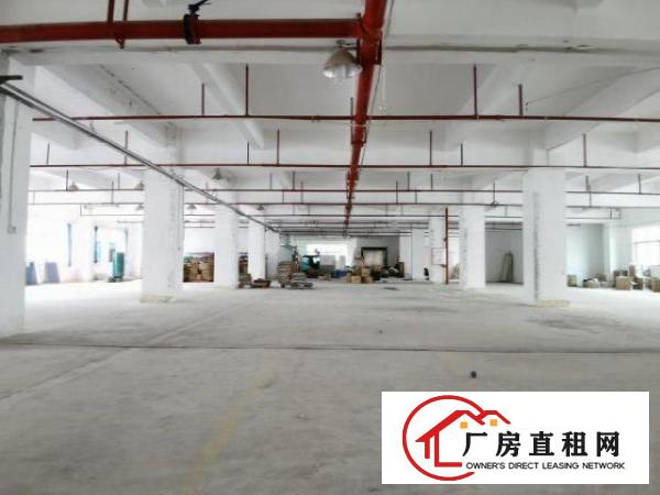 清溪工业园厂房一楼2000方带办公室消防喷淋，空地大形象好