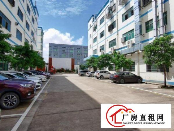  清溪工业园厂房一楼2000方带办公室消防喷淋，空地大形象好