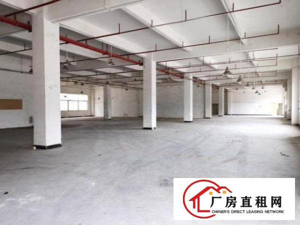  清溪工业园厂房一楼2000方带办公室消防喷淋，空地大形象好