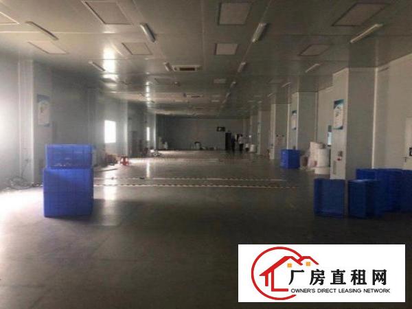  原房东清溪2楼2400豪华装修，刷地坪漆和办公室，可进大车