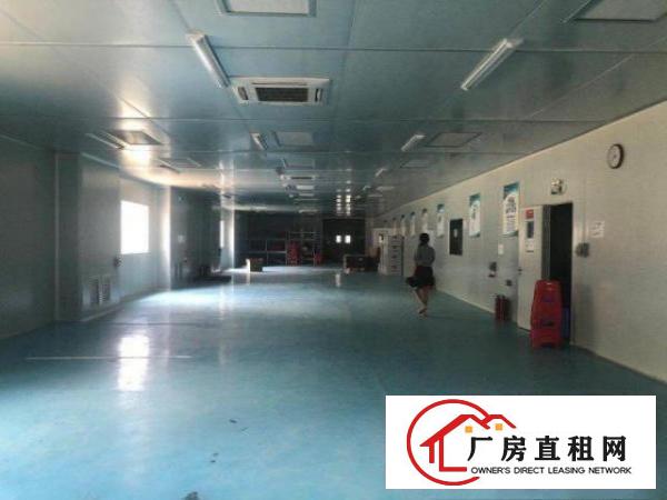  原房东清溪2楼2400豪华装修，刷地坪漆和办公室，可进大车