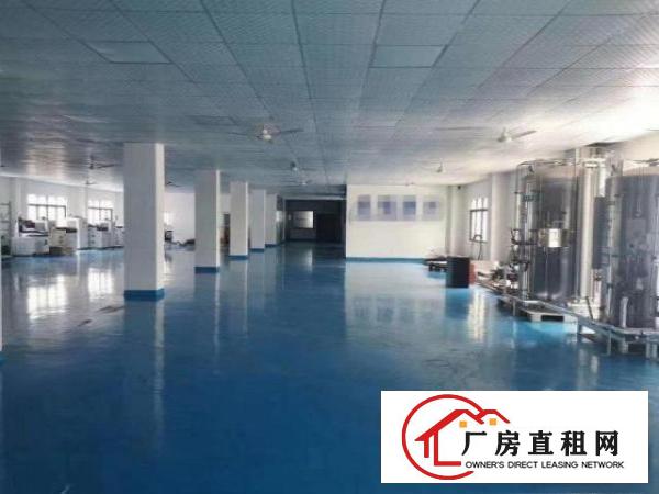  清溪工业厂房一楼1000方带办公室，全新地坪漆，带消防喷淋
