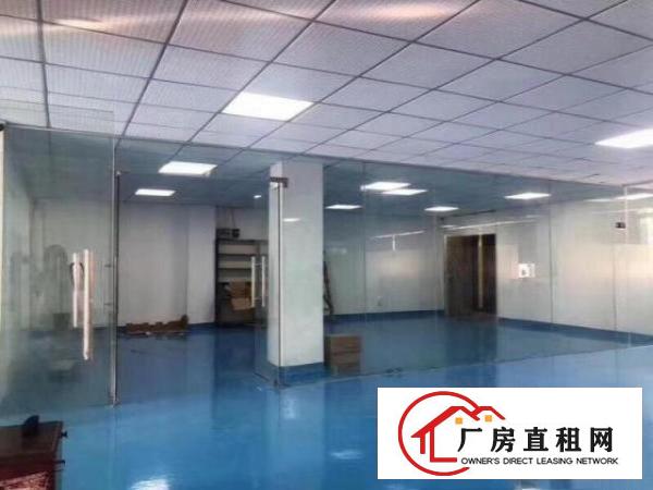  清溪工业厂房一楼1000方带办公室，全新地坪漆，带消防喷淋