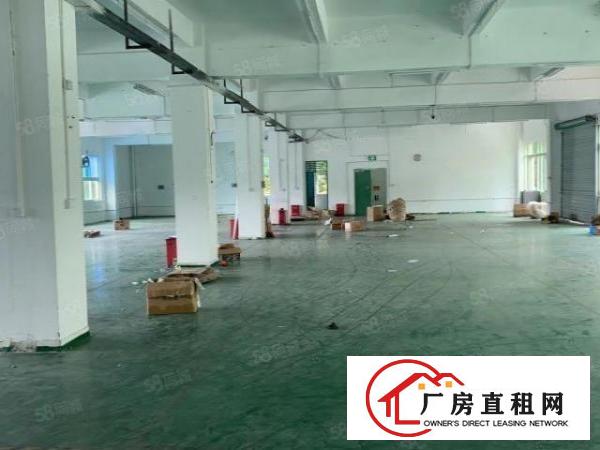  清溪三中原房东独院厂房出租13层3780平方可分租