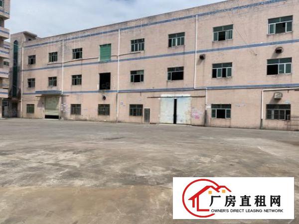  清溪大利原房东独门独院厂房4500平方出租带现成水电装修
