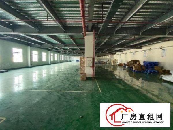  清溪重河零公摊砖钢混合三楼厂房整层1450平现成装修水电齐全