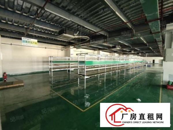  清溪重河零公摊砖钢混合三楼厂房整层1450平现成装修水电齐全
