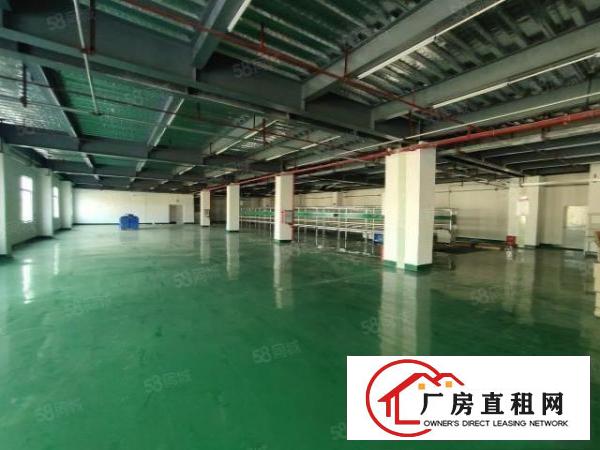  清溪重河零公摊砖钢混合三楼厂房整层1450平现成装修水电齐全