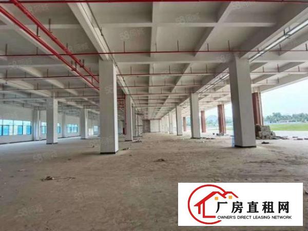  清溪三中高速路口全新红本独栋厂房120000平招租可分租