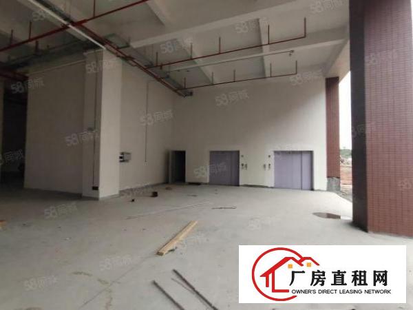  清溪三中高速路口全新红本独栋厂房120000平招租可分租