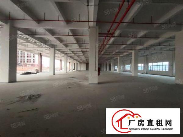  清溪三中高速路口全新红本独栋厂房120000平招租可分租
