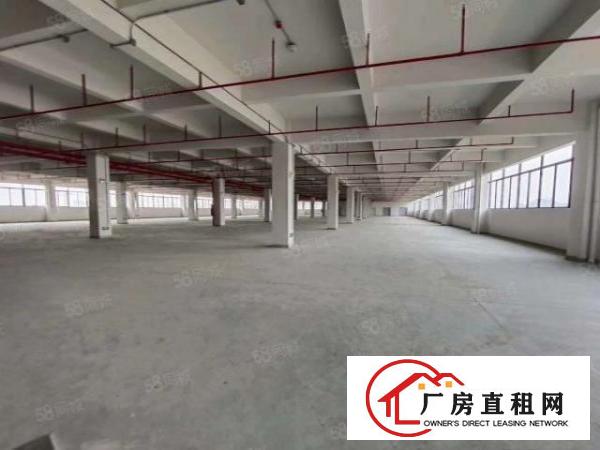  清溪三中高速路口全新红本独栋厂房120000平招租可分租