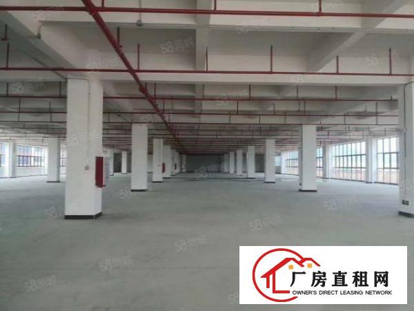  清溪三中高速路口全新红本独栋厂房120000平招租可分租