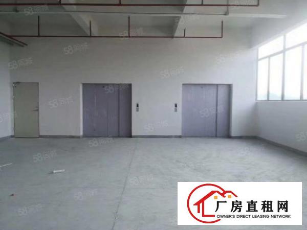  清溪三中高速路口全新红本独栋厂房120000平招租可分租