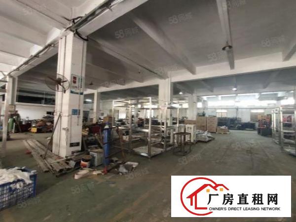  清溪荔横标准红本一楼厂房3700平招租可分租水电到位