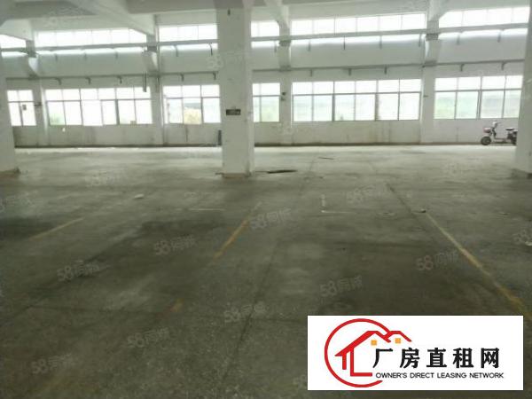  清溪浮岗新出1200平一楼挑高5.9米，梁下5.5米，急租