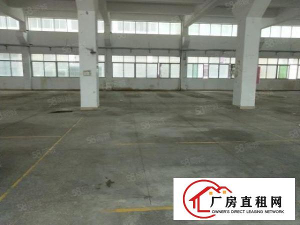  清溪浮岗新出1200平一楼挑高5.9米，梁下5.5米，急租