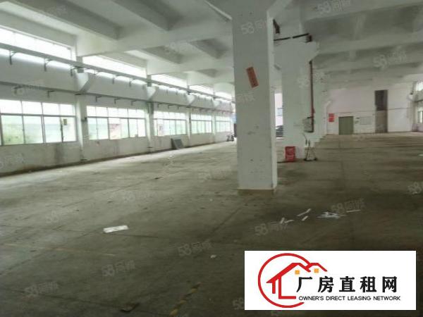  清溪浮岗新出1200平一楼挑高5.9米，梁下5.5米，急租