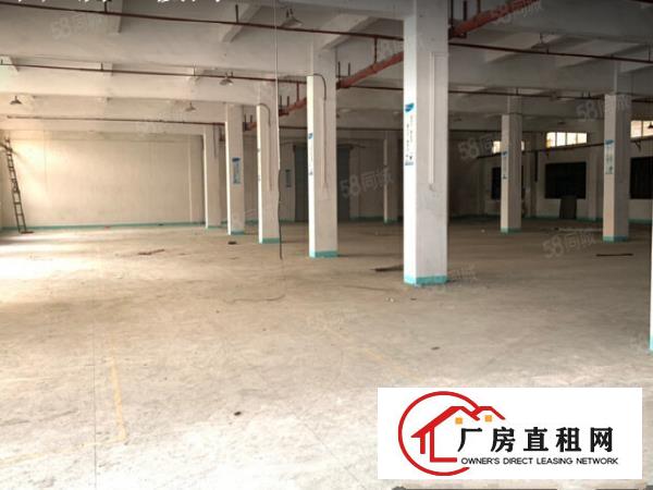  高速出口标准厂房一楼高6米750平有消防喷淋，业主低价出租