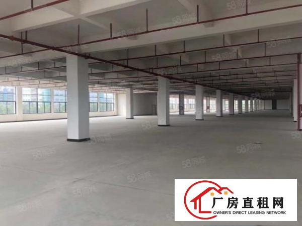  200起租清溪大利原房东47965平方厂房出租家具电池招租