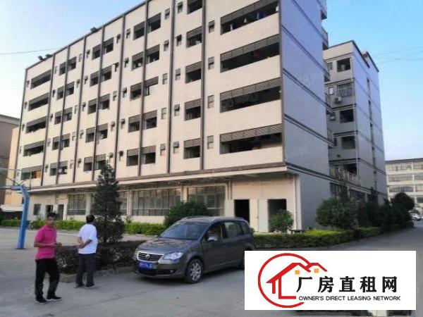  200起租清溪大利原房东47965平方厂房出租家具电池招租